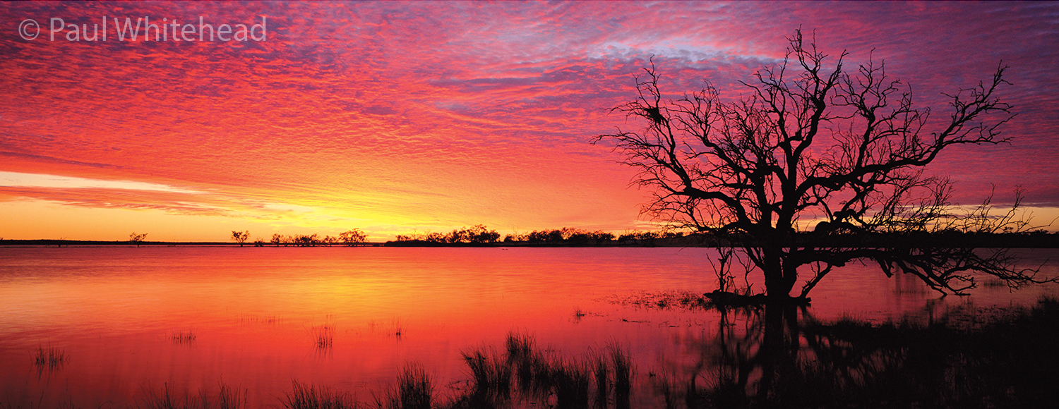  SUNRISE - Coongie Lakes, South Australia - Available size up to 100cm wide 