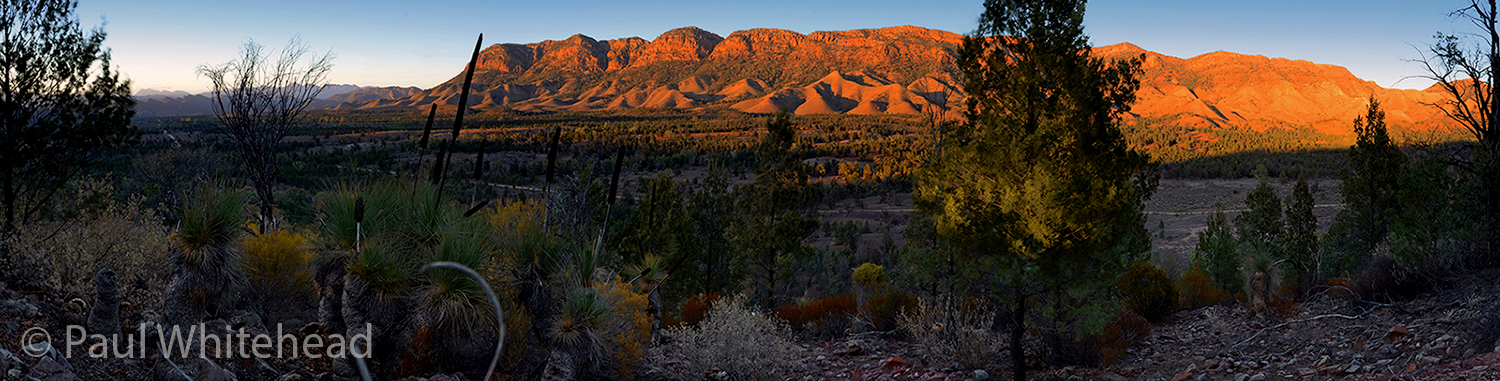  AROONA VALLEY - Flinders Ranges, South Australia - Available size up to 100cm wide 